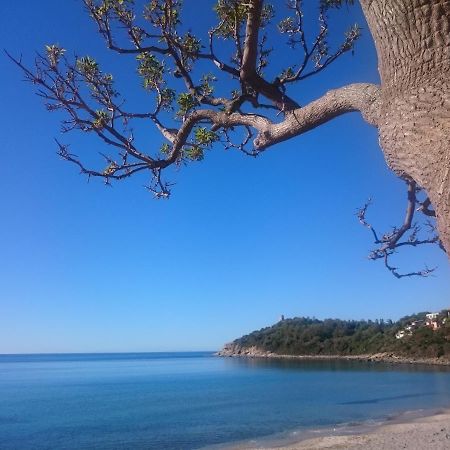 Un Po Di Relax A Pochi Passi Dal Mare! Àrbatax Exterior photo