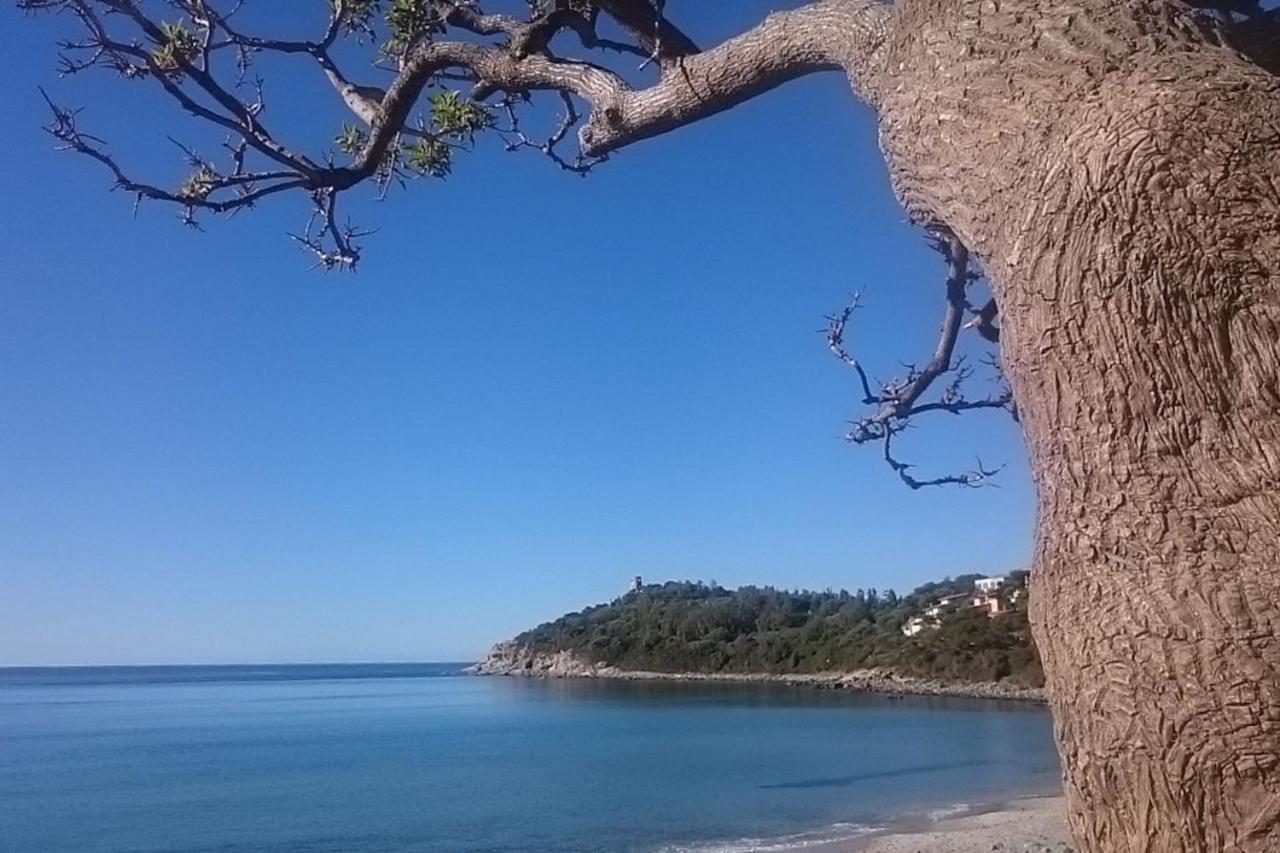 Un Po Di Relax A Pochi Passi Dal Mare! Àrbatax Exterior photo